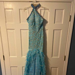 Blue Embellished Feather Bottom Gown